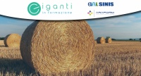 Progetto "Giganti in Formazione" | Graduatoria degli idonei ammessi al corso “Gestione delle certificazioni in agricoltura”