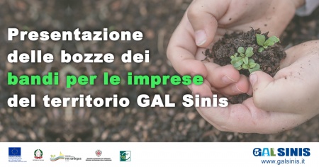 Presentazione delle bozze dei Bandi per le imprese del territorio del GAL Sinis