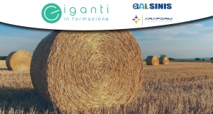Progetto "Giganti in Formazione" | Elenco ammessi e calendario delle selezioni del corso “Gestione delle Certificazioni in agricoltura”