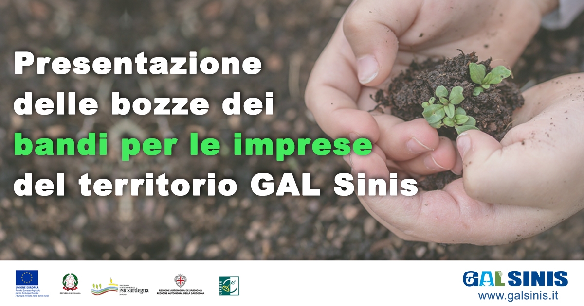 Presentazione delle bozze dei Bandi per le imprese del territorio del GAL Sinis